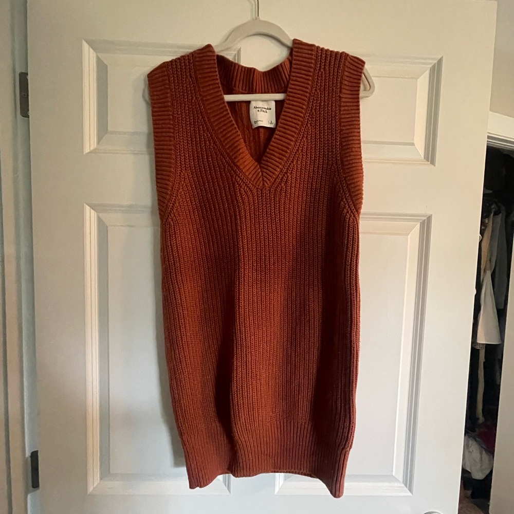 Abercrombie & Fitch Sweater Vest